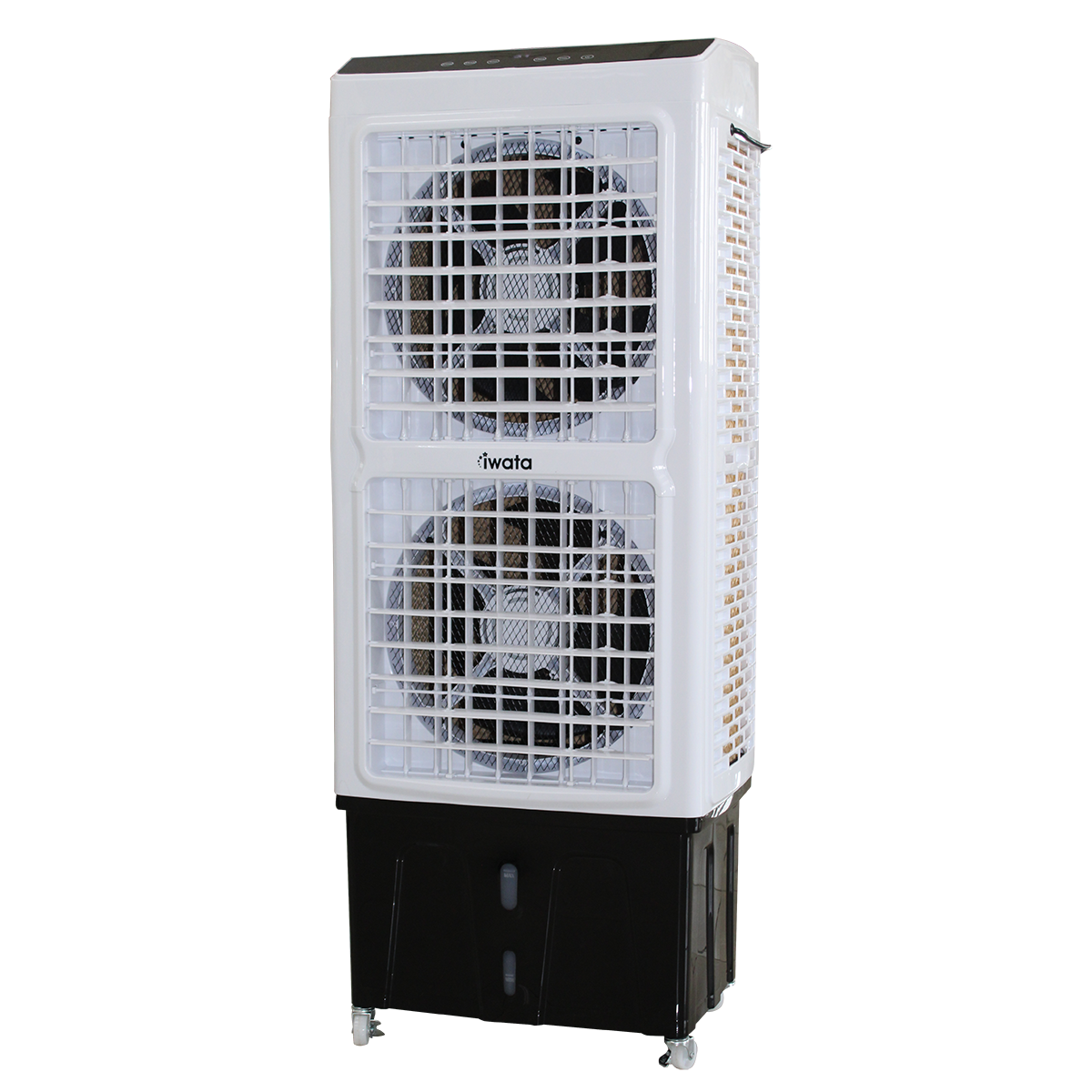 Iwata AIRBLASTER 24 (Premium)