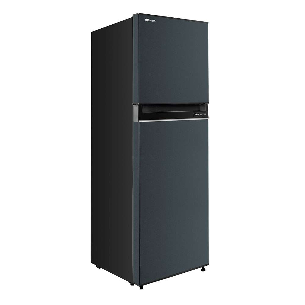 Toshiba 8.2 Cu. Ft. Top Mount Two Door No Frost, Inverter Refrigerator (Class B)