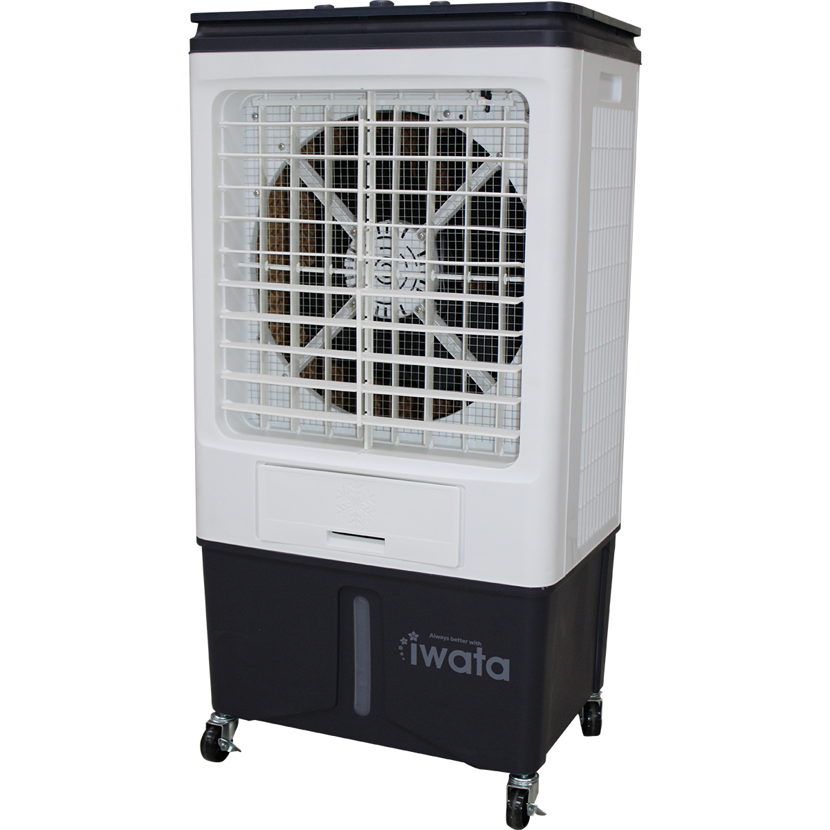 Iwata JET-M20 (Premium)