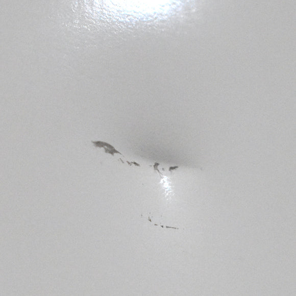 Condura 9 Cu. Ft. Negosyo Pro No Frost Chiller Inverter Refrigerator, White CBC283Ri (Class C)