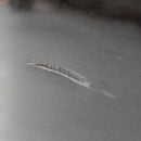 Condura 7.7 Cu. Ft. Light Commercial, Upright Freezer Manual Defrost Inverter Refrigerator, Iron Gray, CUF800MNI-A (Class C)-6