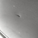 Condura 7.7 Cu. Ft. Light Commercial, Upright Freezer Manual Defrost Inverter Refrigerator, Iron Gray, CUF800MNI-A (Class C)-5